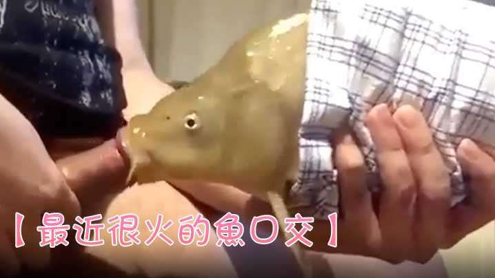 色色色色色综合网,精品在线观看视频一区二区三区